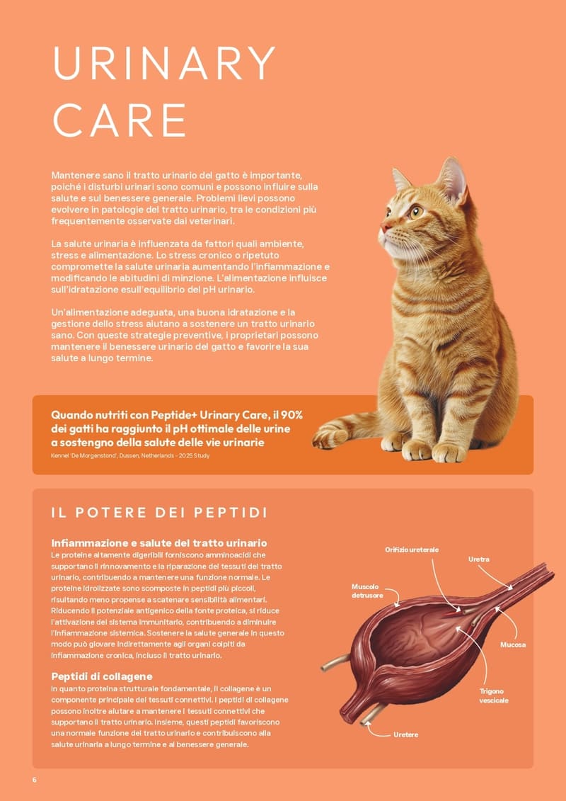 Crocchette Prime Linea Benessere per Gatti Adulti - Urinary Care - immagine 2